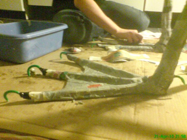 1919018_383162922601_7352481_n