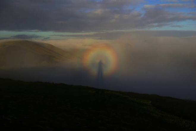 Copyright Bryn Layton