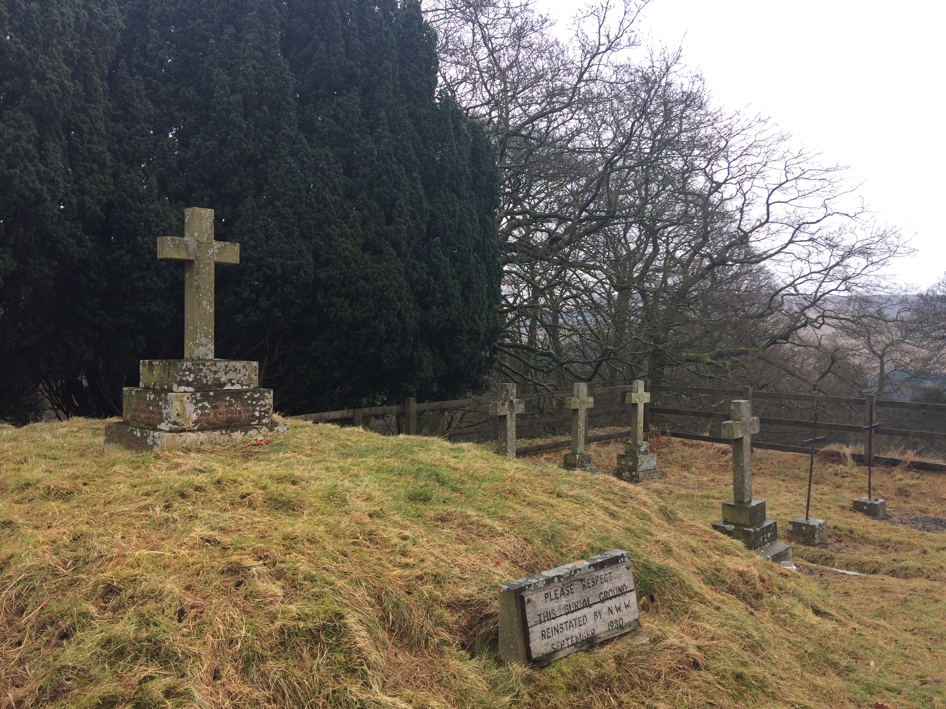 2017-01-23 14.12.55-1