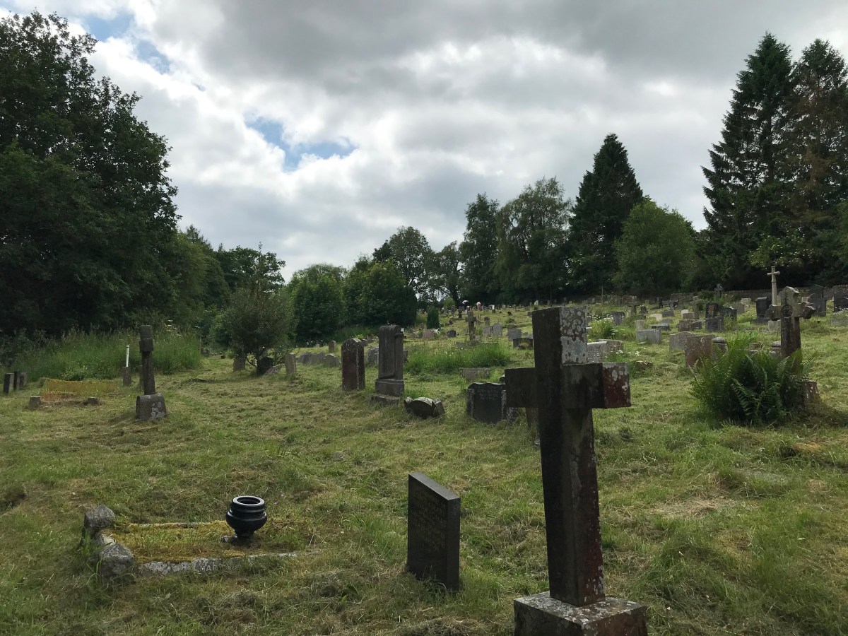 Wolfson Investigates: Terrifying&nbsp;Taxal